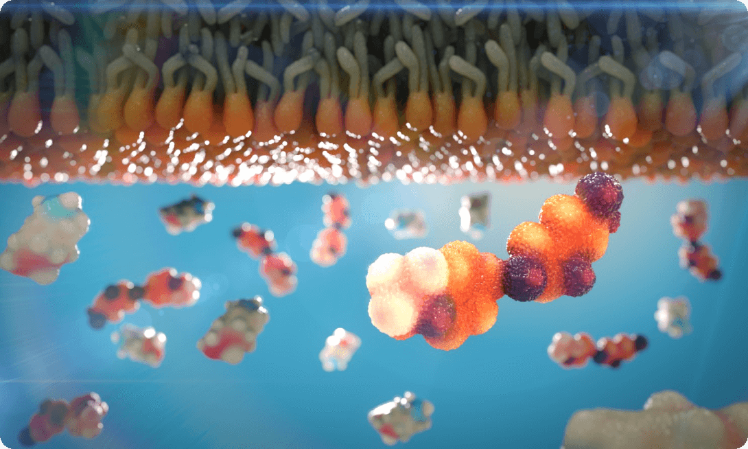 Pretomanid in action